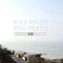 자연속의 집 | 인천 무의도 자연휴양림 숲속의 집 실미도 숙박 후기