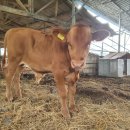 소번식경영아카데미 이미지