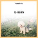 소답동129 이미지