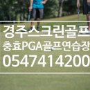 충효PGA스크린 네이버블로그