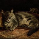 천지일가 | 『나는 고양이로소이다』 후기