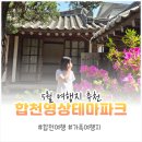 용주면_가호(폐비닐) | 합천영상테마파크 5월여행지 추천 경남가족여행 필수코스