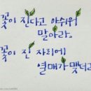 [실버]라인댄스 이미지