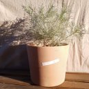 플라워&홈가드닝 이미지