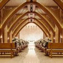 빠바라기 이미지