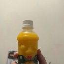 피아노사거리 | 저녁 시간 북적이는 서귀포맛집 회 신선함