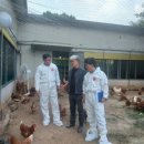 소통농장 이미지