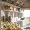 스프링 플라워 이미지