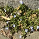 삼계초등학교 이미지