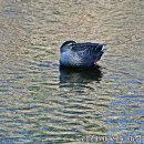 수원팔색길 도란길 이미지