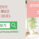 수지21공인중개사사무소 네이버블로그