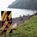 송악산 숲길 이미지