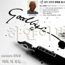 하얀손비트