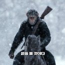 음식으로 지구 구출하기 | [영화 소개/영화 리뷰] '혹성탈출: 종의 전쟁' 결말포함 줄거리 및 감상후기