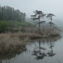 김천부항댐산내들오토캠핑장 이미지