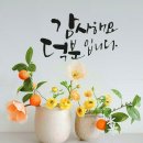 백작크리닝 이미지