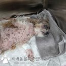 언양 동물병원 이미지