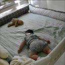 시우목장 이미지