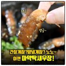 자연산 100% 청정남해 마약딱새우장 1kg 이미지