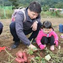 대구농장 이미지