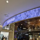 신세계를 위하여 | [영화] 2025 '아바타: 불과 재' 관람 후기 (*스포주의*) | 대전 신세계 메가박스 '더부띠끄 스위트'