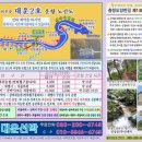애견1번지 티스토리