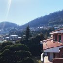 동양목초 이미지