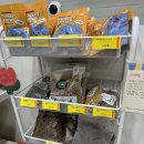 하이펫 애견샵 이미지