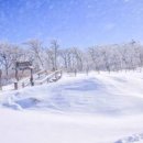 다이어트 건강요리(야간) 이미지