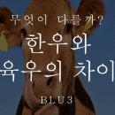 외길한우