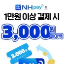 고피자 이미지