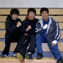 태백체육관 이미지