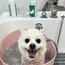 동이몽이 이미지