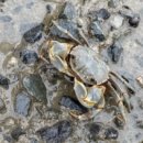 늘푸른 민박 이미지