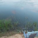 새동인약국 이미지