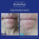 필바이오 이미지