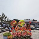 진안군 농업기술센터 | 진안군농업기술센터 진안홍삼축제