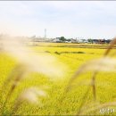 (주)연희프라자 이미지