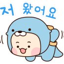 코코업 이미지