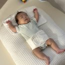 고실장쭈꾸미 | 상반기 고생한 직장인 일상