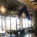 포파스