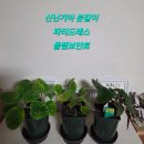 26년 6월 9일 화요일 간추린 아침뉴스/해당화 축복 힐링 정원
