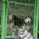 토비하우스 이미지