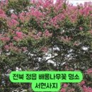 태인면복지회관 이미지