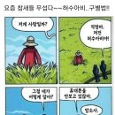 요즘 참새는??? 이미지