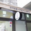 멍멍이츠 이미지