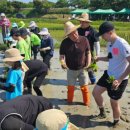 순천인안초등학교 이미지