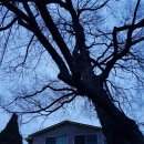 소리봉농장 이미지