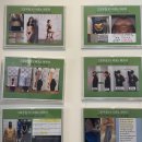 그로우짐 Grow Gym 이미지