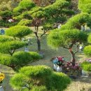 갈월공원 이미지